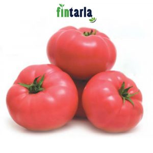 İthal Pembe Domates Tohumu 50 Adet