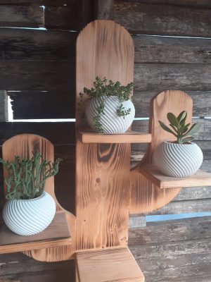 Beton Saksıda Üçlü Set - Görsel 2