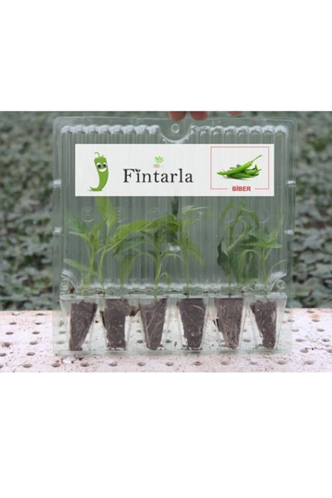 Fintarla