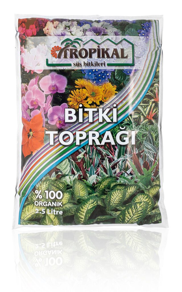 Fintarla
