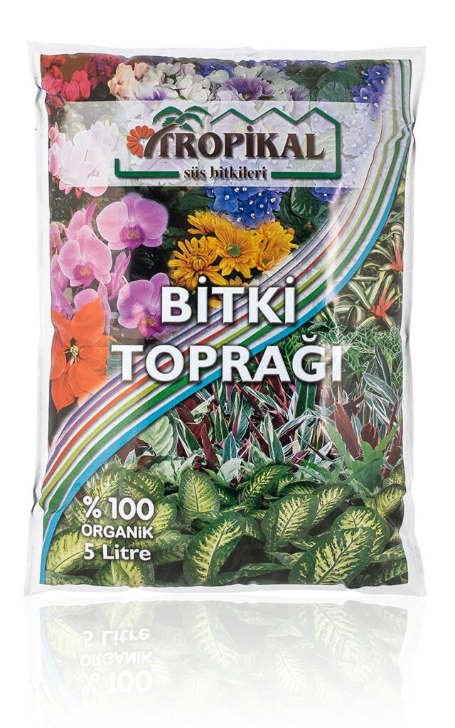 Fintarla