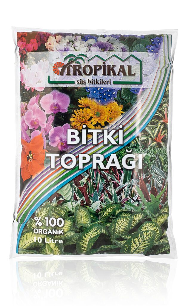 Fintarla