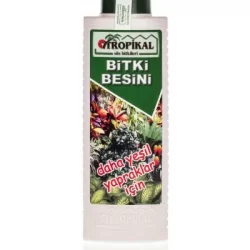 Tropikal Daha Yeşil Yapraklar İçin Bitki Besini