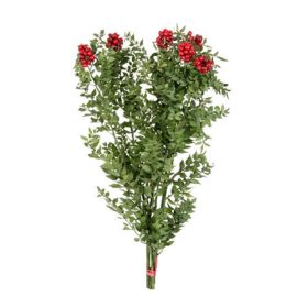 Kokina Çiçeği Demeti (Yılbaşı Çiçeği) 45-50 cm