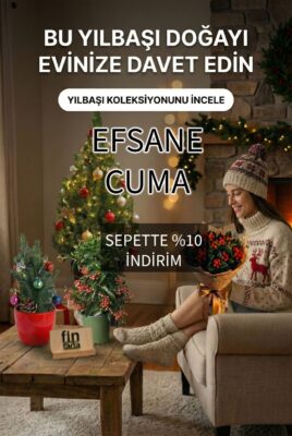 Efsane cuma indirimleri başladı. İç mekan bitkilerinde büyük indirim